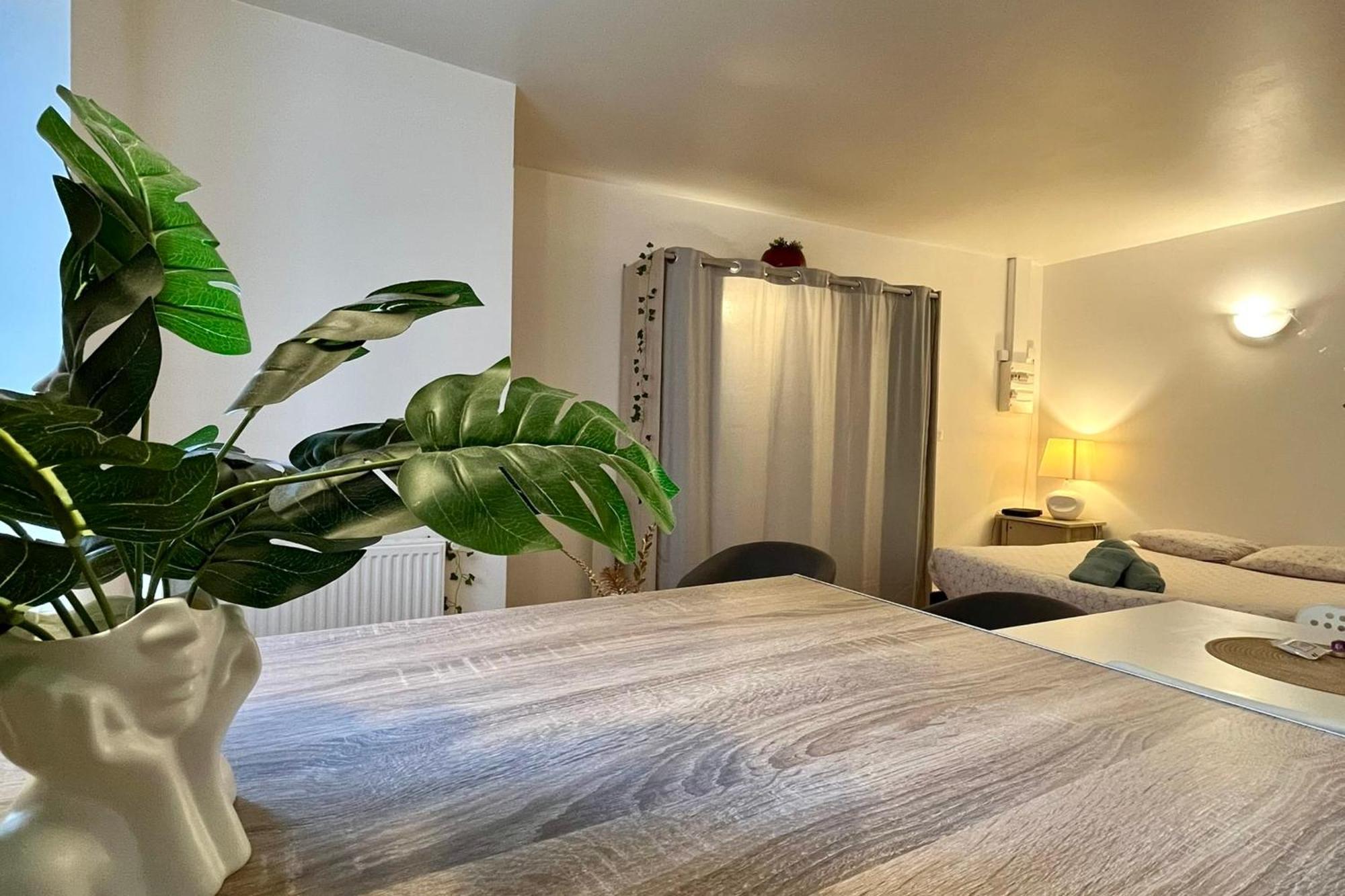 Le Studio Theolier Downtown - Close To Pedestrian Street Tournon-sur-Rhone Exterior photo